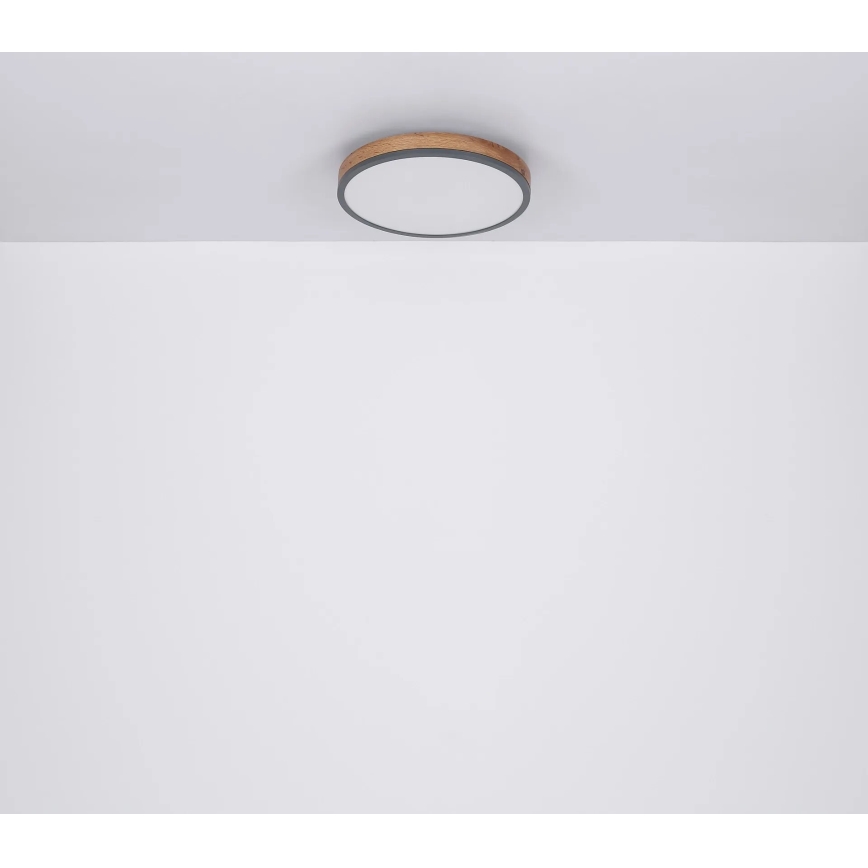 Globo - Dimmbare LED-Deckenleuchte LED/40W/230V 2700-6500K d 60 cm + Fernbedienung braun/grau