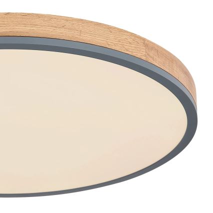 Globo - Dimmbare LED-Deckenleuchte LED/40W/230V 2700-6500K d 60 cm + Fernbedienung braun/grau