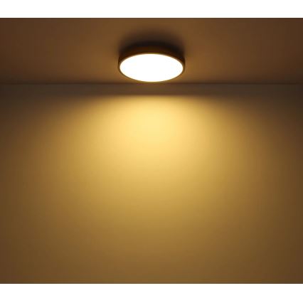 Globo - Plafoniera LED dimmerabile LED/40W/230V 2700-6500K diametro 60 cm + telecomando marrone/grigio