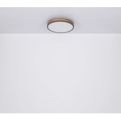 Globo - Plafoniera LED dimmerabile LED/40W/230V 2700-6500K diametro 60 cm + telecomando marrone/grigio