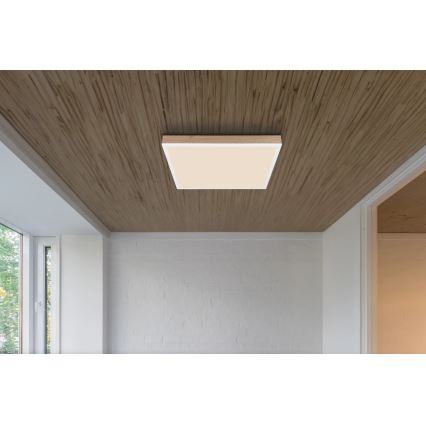 Globo - Plafoniera LED dimmerabile LED/24W/230V 2700-6500K + telecomando marrone/bianco