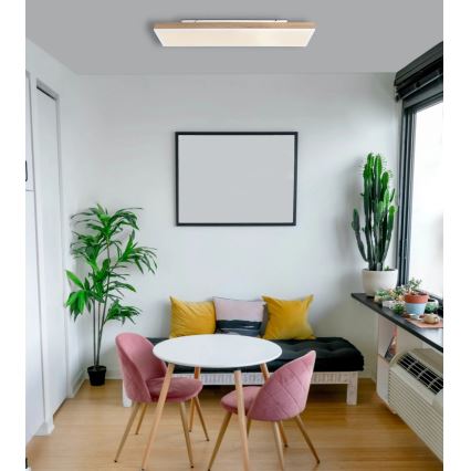 Globo - LED Plafoniera da soffitto dimmerabile LED/24W/230V 2700-6500K 20x80 cm + telecomando