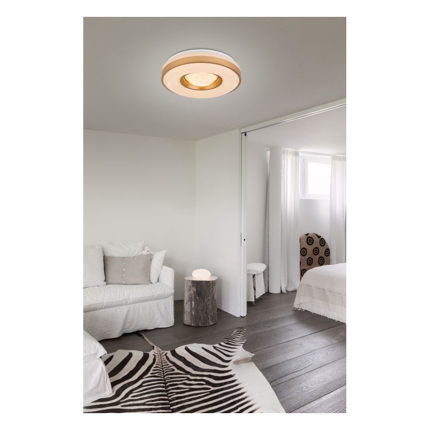 Globo - Plafoniera LED LED/24W/230V