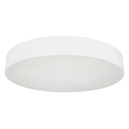 Globo -Plafoniera LED dimmerabile WISS LED/24W/230V