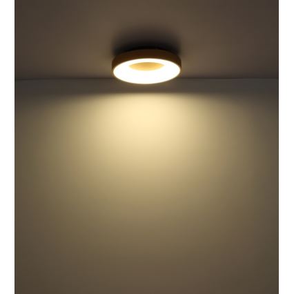 Globo - Plafoniera LED dimmerabile LED/30W/230V + telecomando