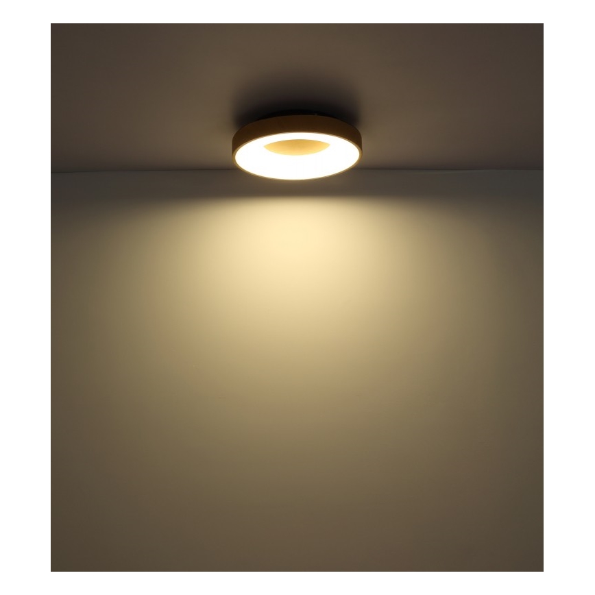 Globo - Plafoniera LED dimmerabile LED/30W/230V + telecomando