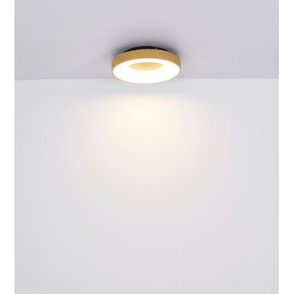 Globo - Plafoniera LED dimmerabile LED/30W/230V + telecomando