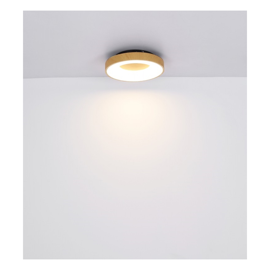 Globo - Plafoniera LED dimmerabile LED/30W/230V + telecomando