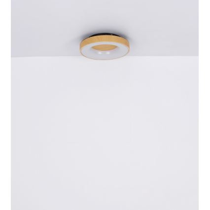 Globo - Plafoniera LED dimmerabile LED/30W/230V + telecomando