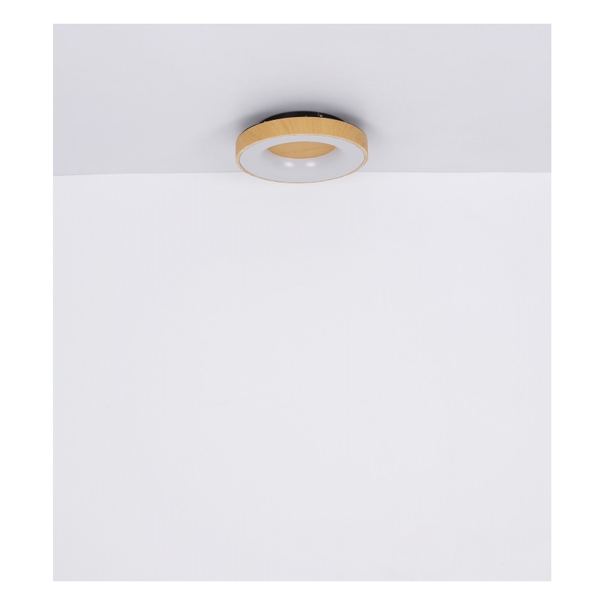 Globo - Plafoniera LED dimmerabile LED/30W/230V + telecomando