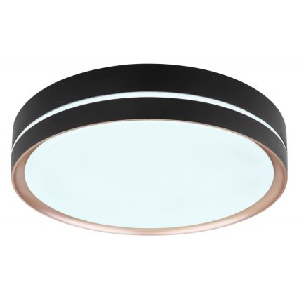 Globo - Plafoniera LED dimmerabile LED/24W/230V + telecomando
