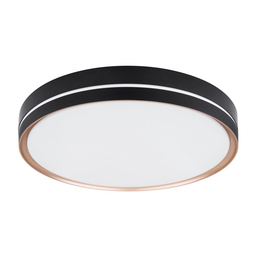Globo - Plafoniera LED dimmerabile LED/40W/230V + telecomando