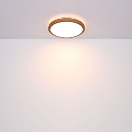 Globo - Plafonnier LED LED/12W/230V 307 mm 3000/4500/6000K