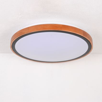 Globo - LED-Deckenleuchte LED/24W/230V 3000/4500/6000K d 43,7 cm