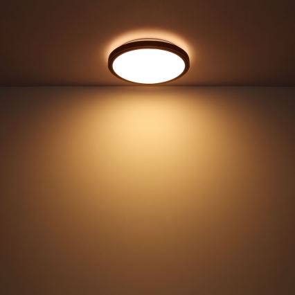 Globo - Plafonnier LED/24W/230V 3000/4500/6000K d. 43,7 cm