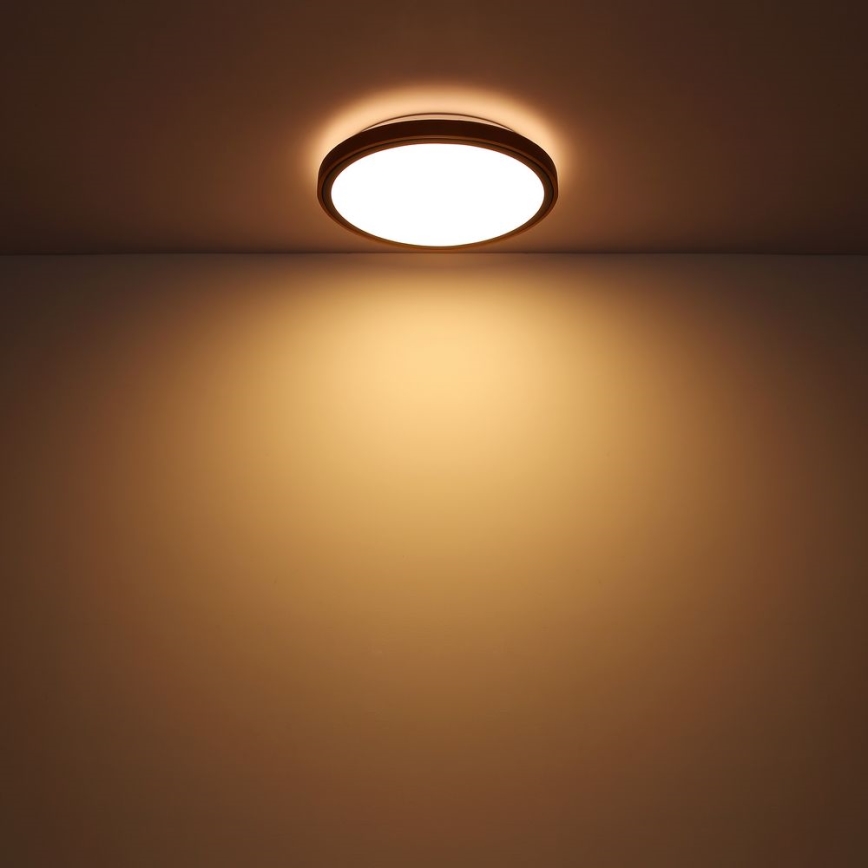 Globo - Plafonnier LED/24W/230V 3000/4500/6000K d. 43,7 cm