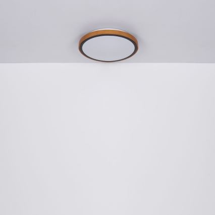Globo - Plafonnier LED/24W/230V 3000/4500/6000K d. 43,7 cm