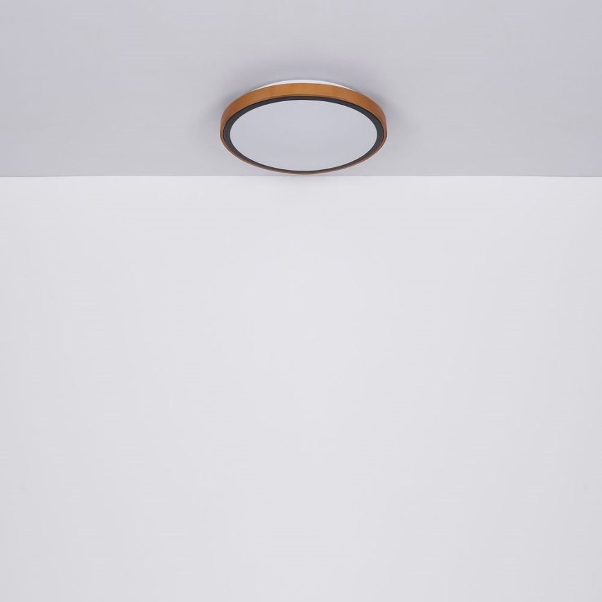 Globo - Plafonnier LED/24W/230V 3000/4500/6000K d. 43,7 cm