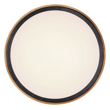 Globo - Plafonnier LED/24W/230V 3000/4500/6000K d. 43,7 cm