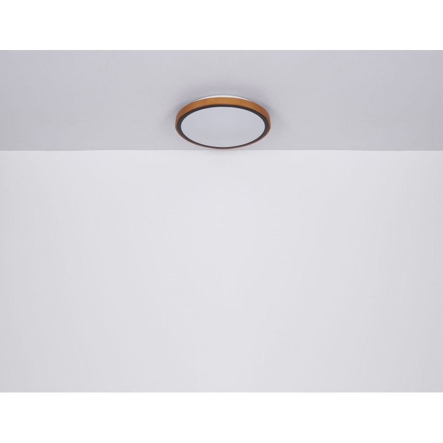 Globo - Plafoniera LED LED/12W/230V 3000/4500/6000K diametro 30 cm