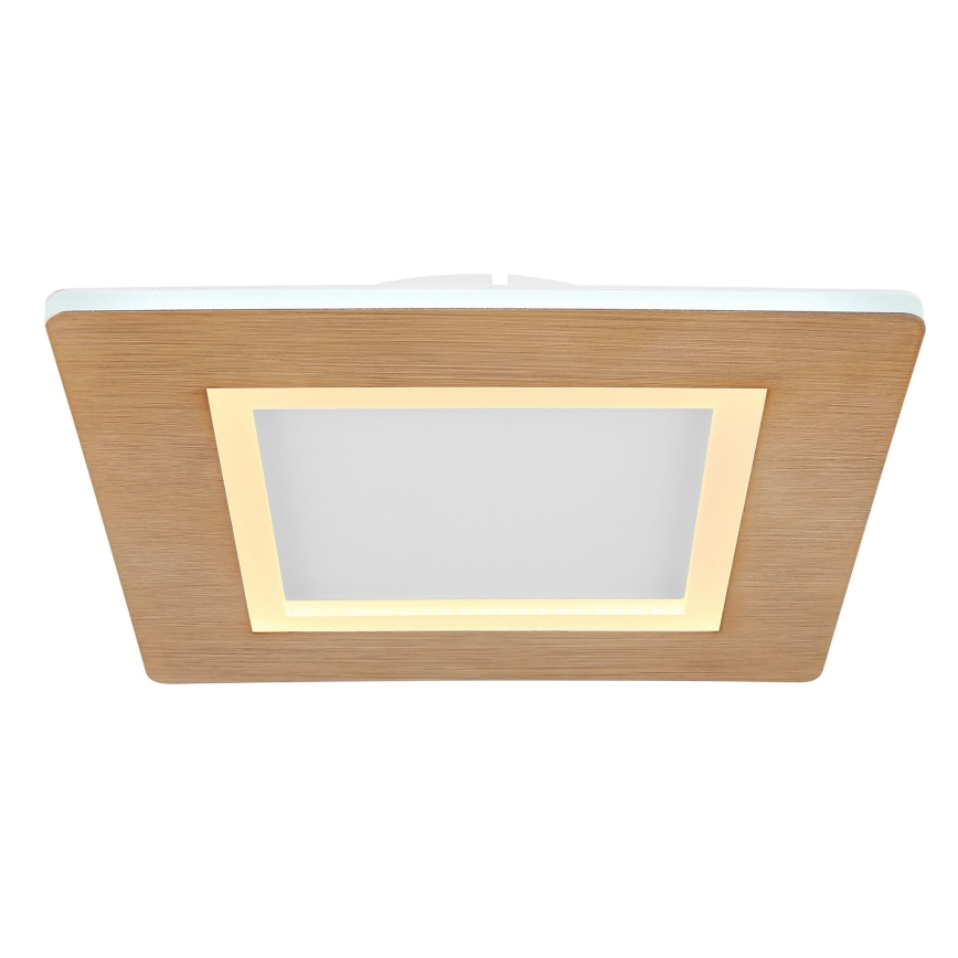Globo - Plafoniera LED LED/23W/230V