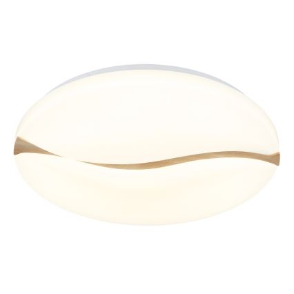 Globo - Plafoniera LED LED/24W/230V 3000/4200/6000K diametro 33 cm