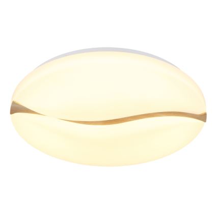 Globo - Plafoniera LED LED/24W/230V 3000/4200/6000K diametro 33 cm