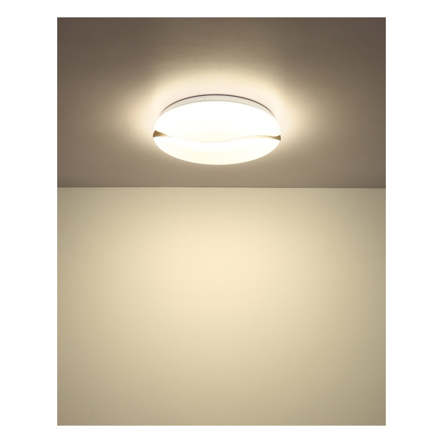 Globo - Plafonnier LED/24W/230V 3000/4200/6000K d. 39 cm