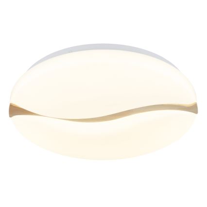 Globo - Plafonnier LED/24W/230V 3000/4200/6000K d. 39 cm