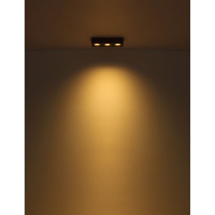 Globo - Plafonnier LED/14W/230V 11,7x33,2 cm