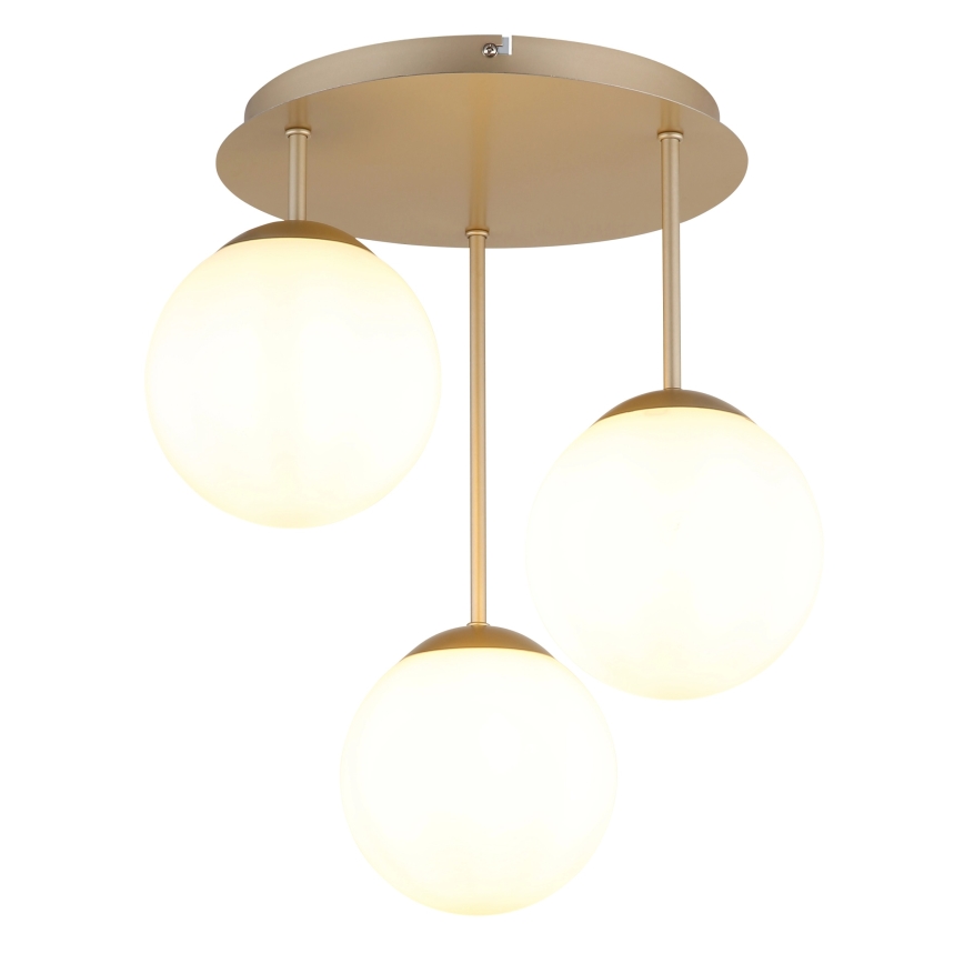 Globo - Aufgesetzte Deckenleuchte 3xE14/25W/230V Messing