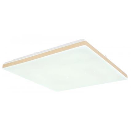 Globo - Plafonnier LED dimmable 24W/230V Wi‑Fi Tuya + télécommande