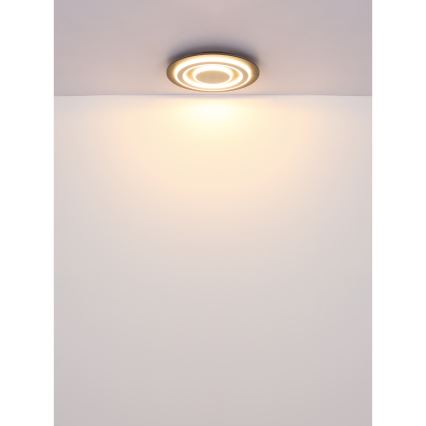 Globo - Plafonnier LED/24W/230V 3000K d. 32 cm