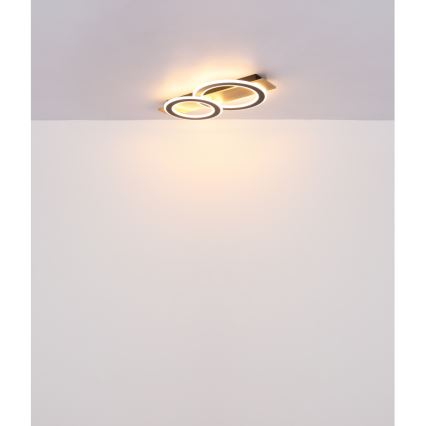 Globo - LED-Deckenleuchte LED/40W/230V 3000K 35x63 cm
