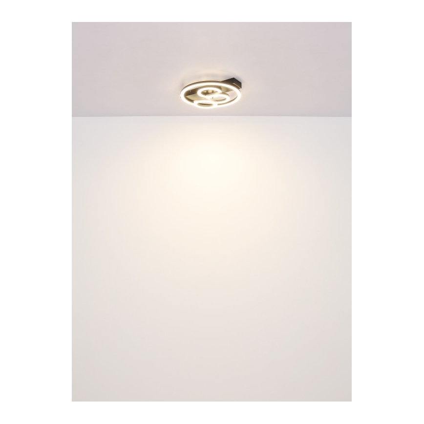 Globo - Plafoniera LED dimmerabile LED/40W/230V 2700-6500K diametro 35x33 cm + telecomando