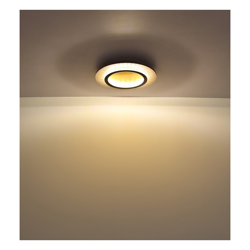Globo - LED-Deckenleuchte LED/24W/230V 3000/4000/6500K Ø 35 cm schwarz