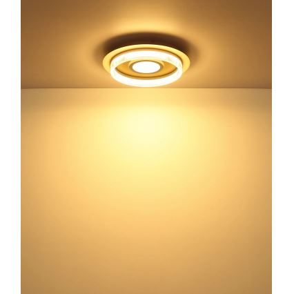 Globo - Plafoniera LED 24W/230V 3000K, diametro 40 cm