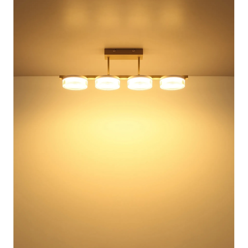 Globo - LED-Deckenleuchte LED/24W/230V 3000K