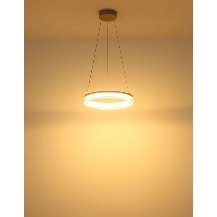 Globo - Lampadario LED sospeso con cavo LED/16W/230V 3000K
