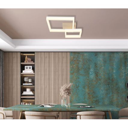 Globo - Plafoniera LED LED/24W/230V 3000K 46,5x62,5 cm