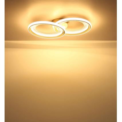 Globo - LED Deckenleuchte LED/30W/230V 3000K 31,5x52,5 cm