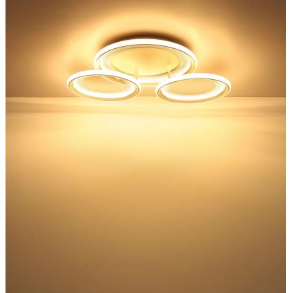 Globo - Plafoniera a LED/40W/230V 3000K 60,5x62,5 cm