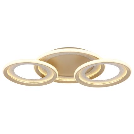 Globo - Plafoniera a LED/40W/230V 3000K 60,5x62,5 cm