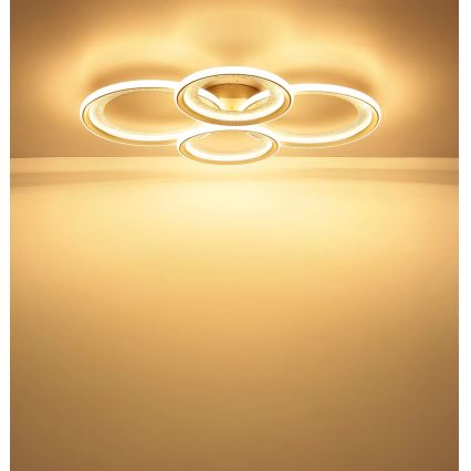 Globo - Plafoniera LED/50W/230V 3000K 64,5x85,5 cm