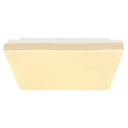 Globo - Plafoniera LED LED/12W/230V