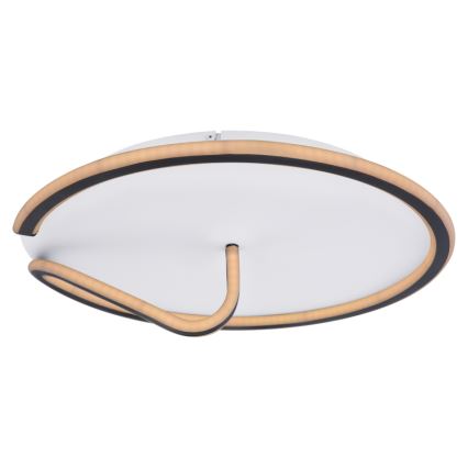 Globo - Plafoniera LED dimmerabile RODAN LED/50W/230V 3000-6000K + telecomando