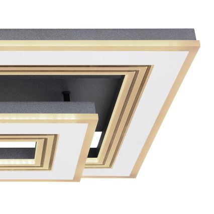 Globo - LED dimmbare Deckenleuchte LED/50W/230V 2700-6000K + Fernbedienung