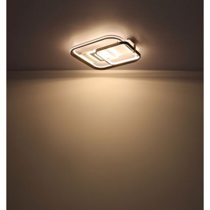 Globo 48459-48 - Plafoniera LED dimmerabile ANI LED/48W/230V 2700-6000K 48x52 cm + telecomando