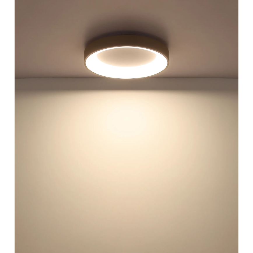 Globo - Plafonnier LED dimmable LED/48W/230V 2700-6000K Ø 50 cm + télécommande