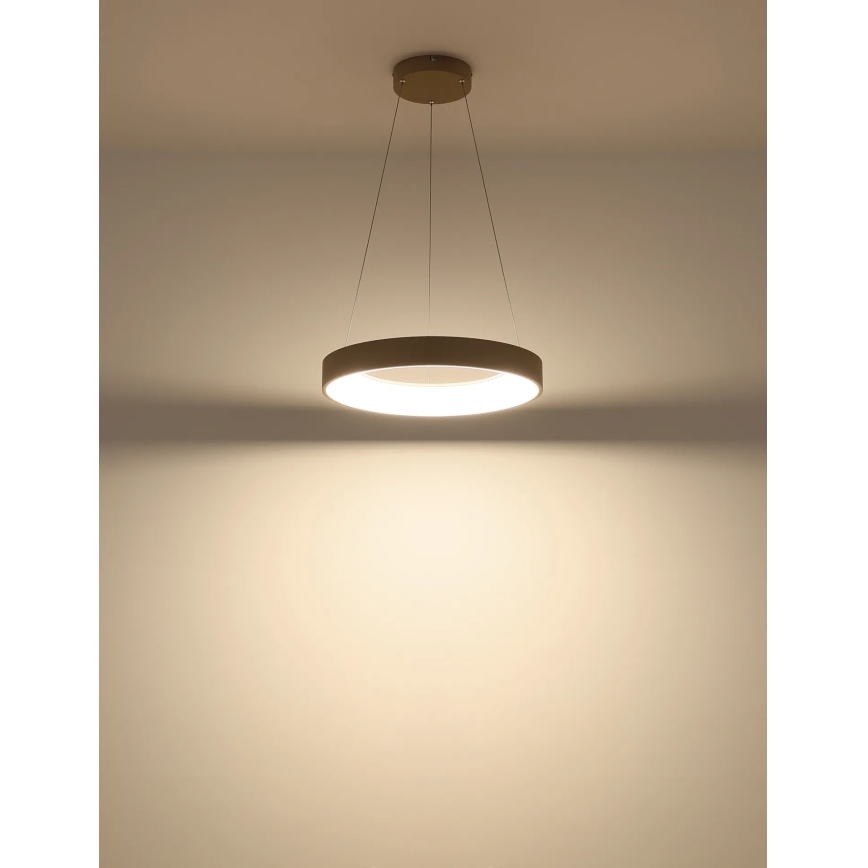 Globo - Lampadario LED dimmerabile a sospensione su cavo 48W/230V 2700-6000K + telecomando